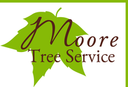 Local Tree Service in Moore OK